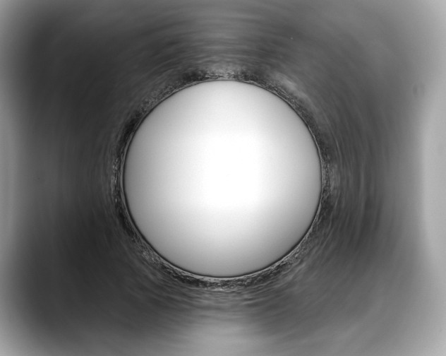 X0000088710737200705311038