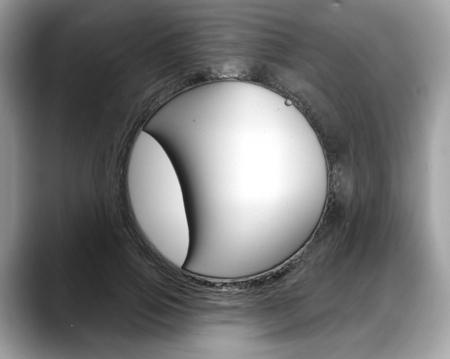 X0000088710741200705311038