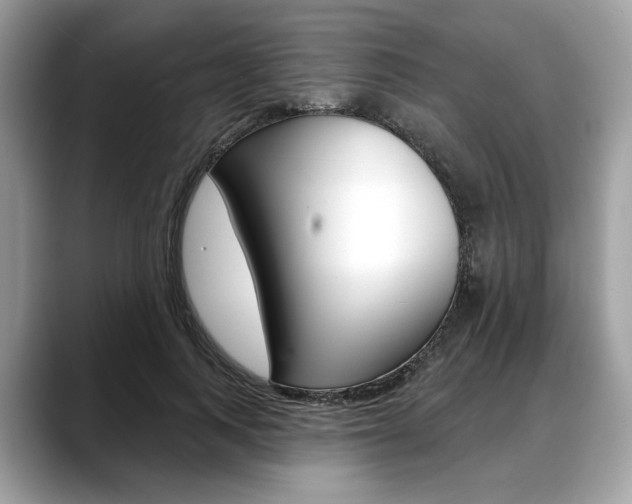 X0000088710743200705311038