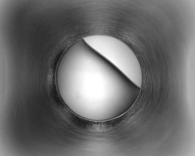 X0000088710744200705311038