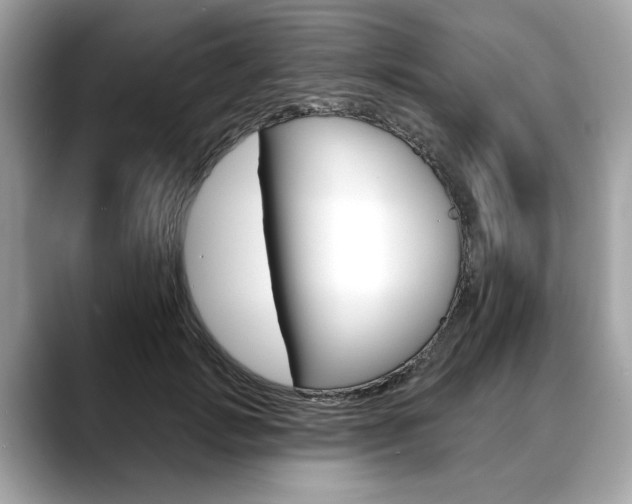 X0000088710749200705311038