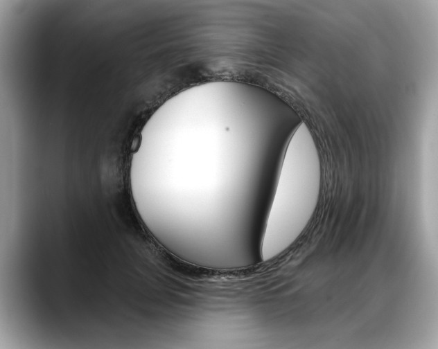 X0000088710751200705311038