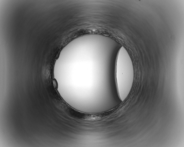 X0000088710754200705311038