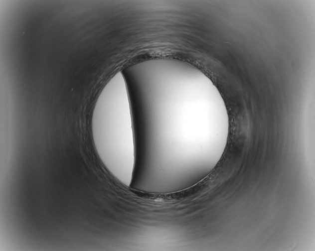 X0000088710755200705311038