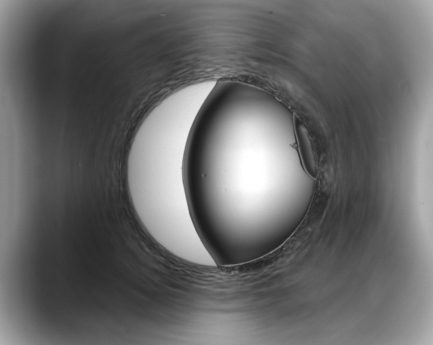 X0000088710756200705311038