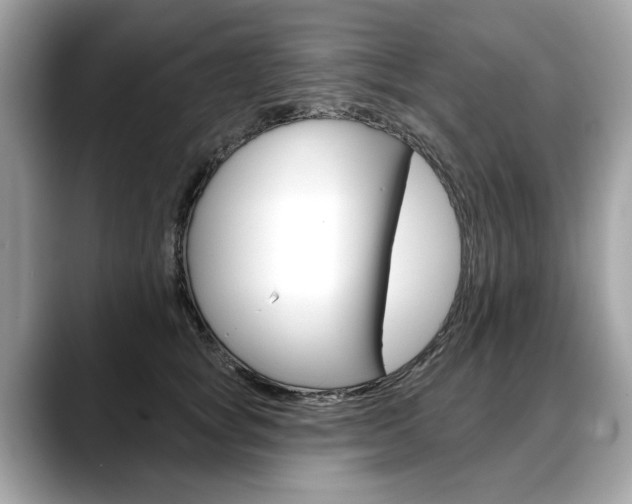 X0000088710757200705311038