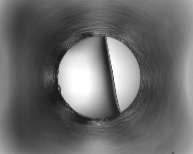 X0000088710763200705311038