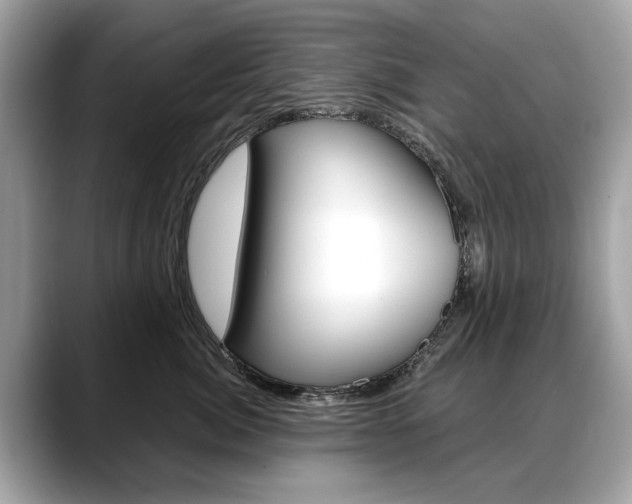 X0000088710764200705311038