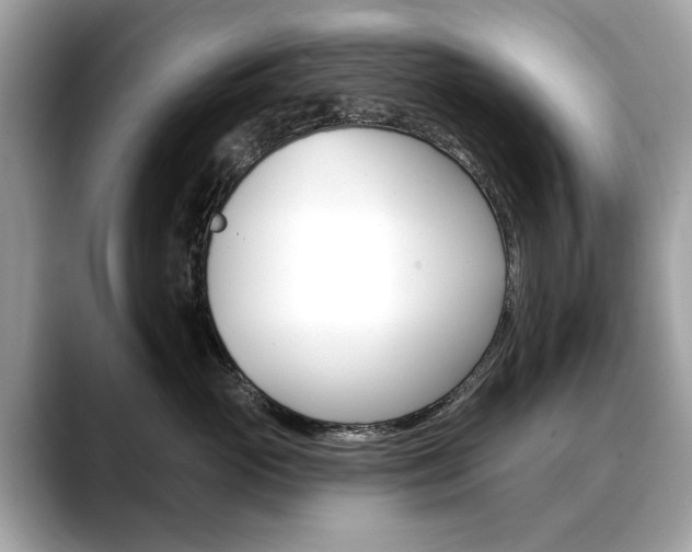 X0000088710765200705311038
