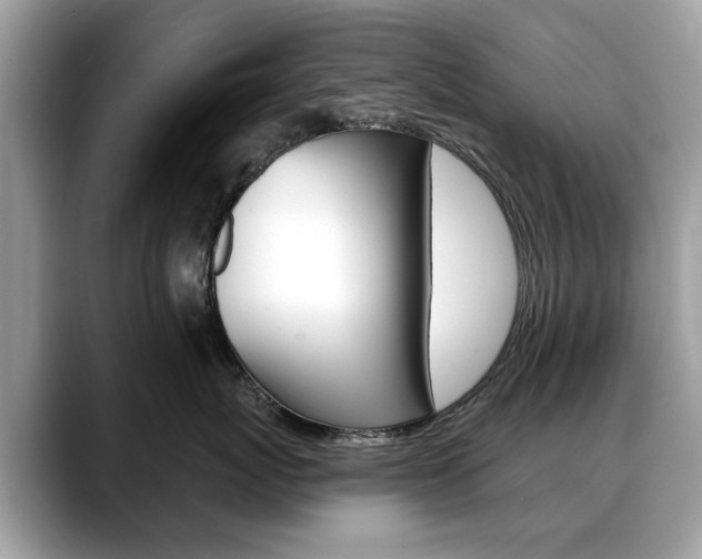 X0000088710767200705311038