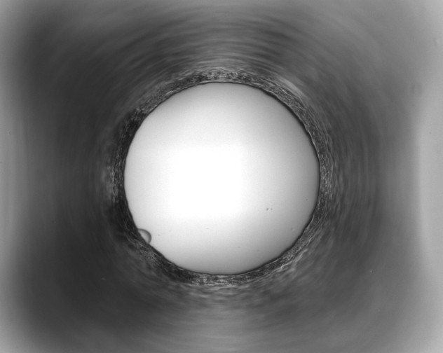 X0000088710774200705311038