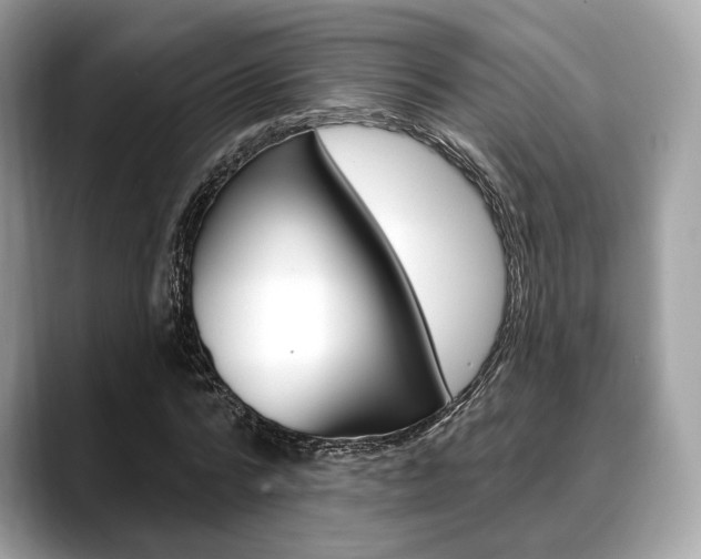 X0000088710776200705311038