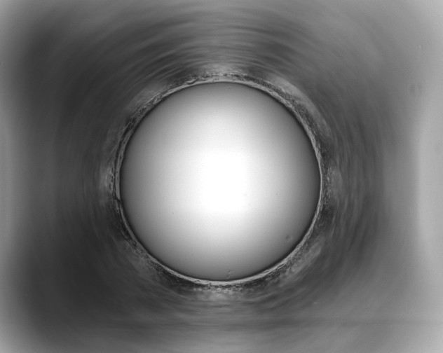 X0000088710785200705311038