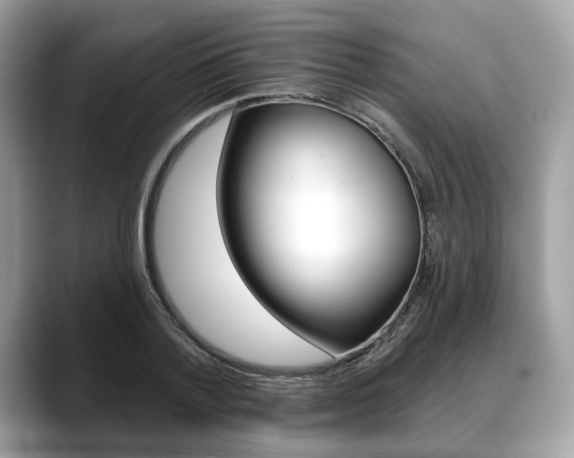 X0000088710788200705311038