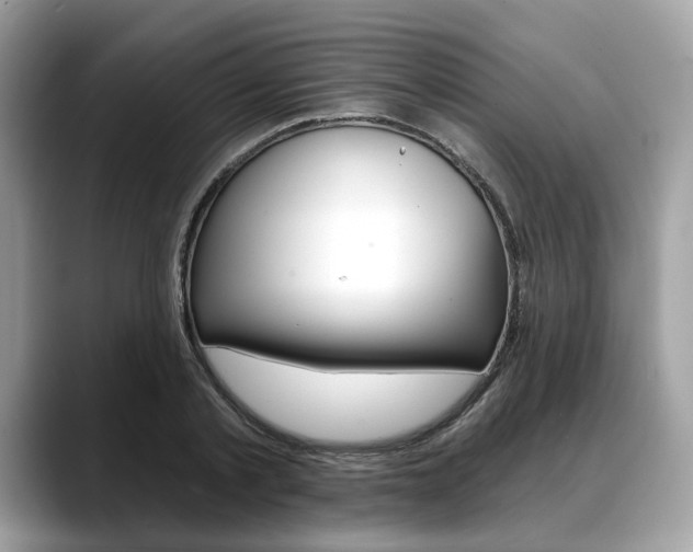 X0000088710789200705311038