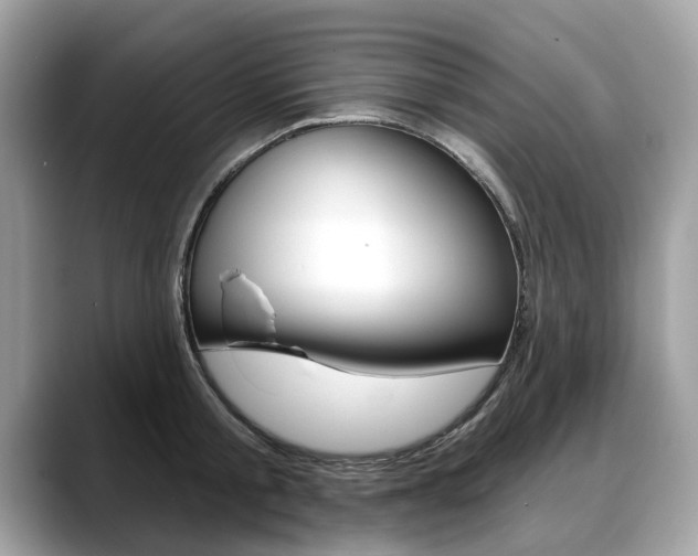 X0000088710805200705311037