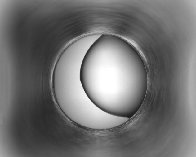 X0000088710815200705311037