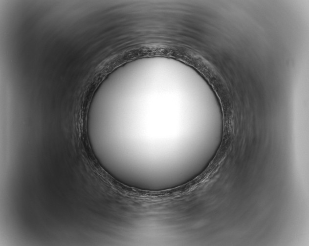 X0000088710821200705311037