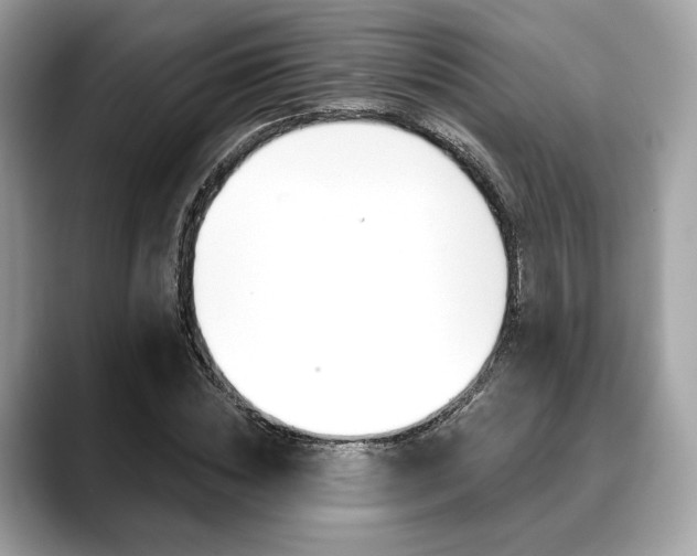 X0000088710828200705311037