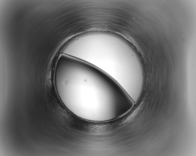 X0000088710830200705311037