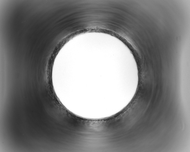 X0000088710832200705311037