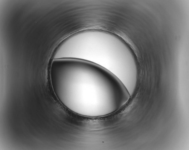 X0000088710834200705311037