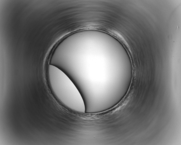 X0000088710835200705311037