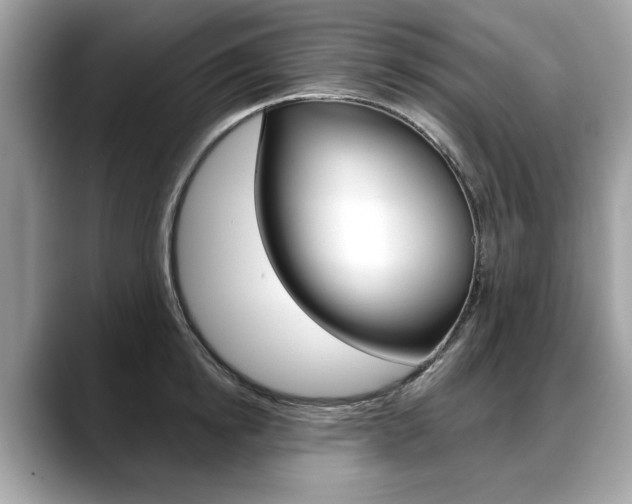 X0000088710854200705311037