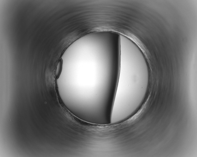 X0000088710857200705311037