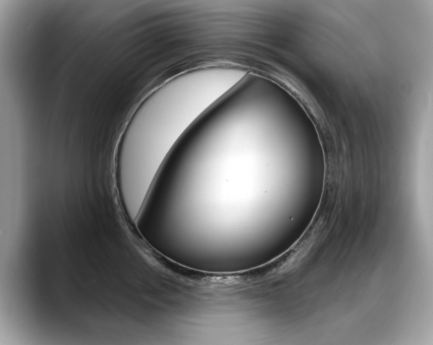 X0000088710858200705311037