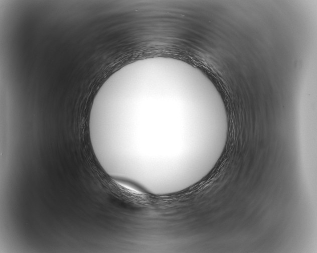 X0000088710868200705311037