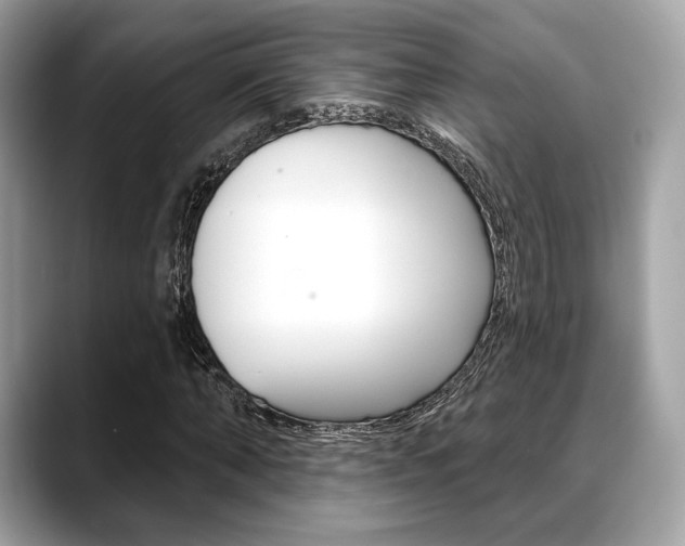 X0000088710870200705311037
