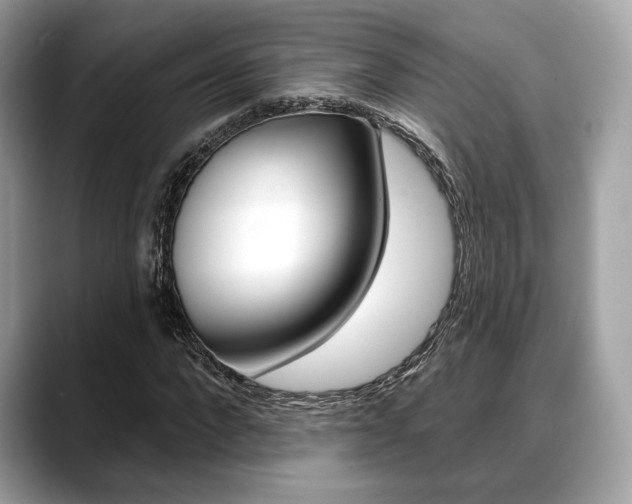 X0000088710872200705311037