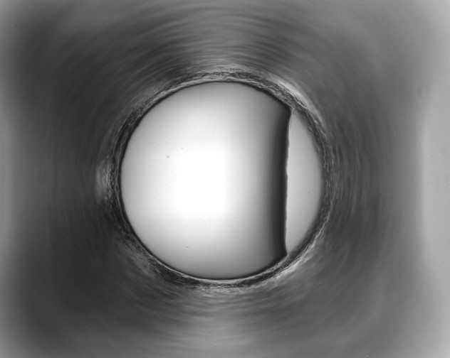 X0000088710873200705311037