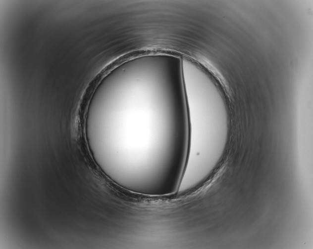 X0000088710876200705311037