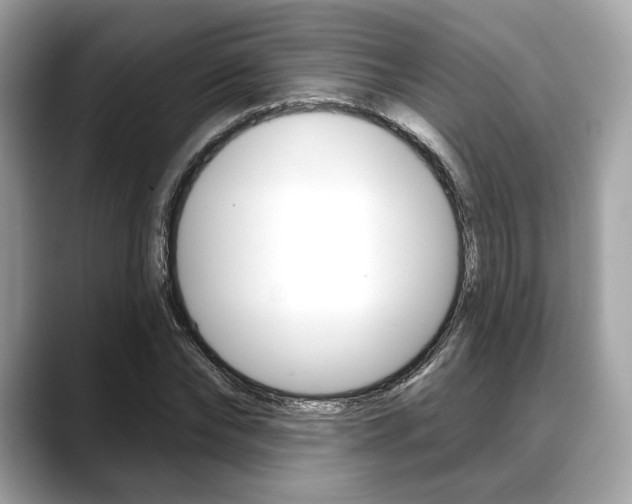X0000088710878200705311037