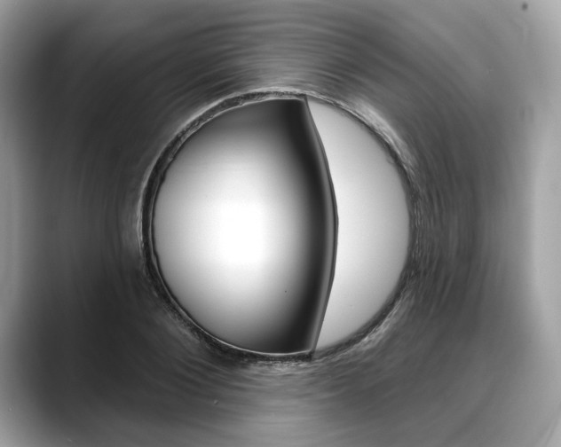 X0000088710884200705311036