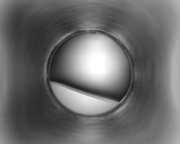 X0000088710885200705311036