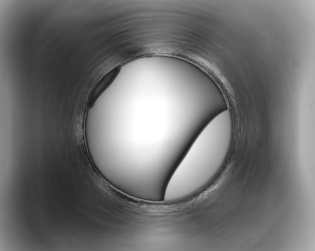 X0000088710889200705311036