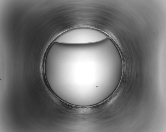 X0000088710893200705311036