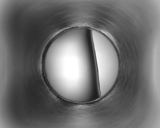 X0000088710894200705311036