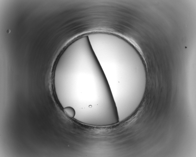 X0000088710895200705311036