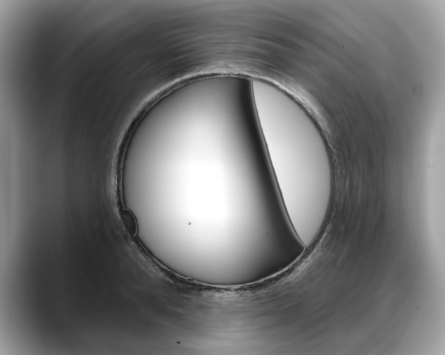 X0000088710896200705311036