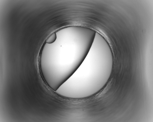X0000088710899200705311036