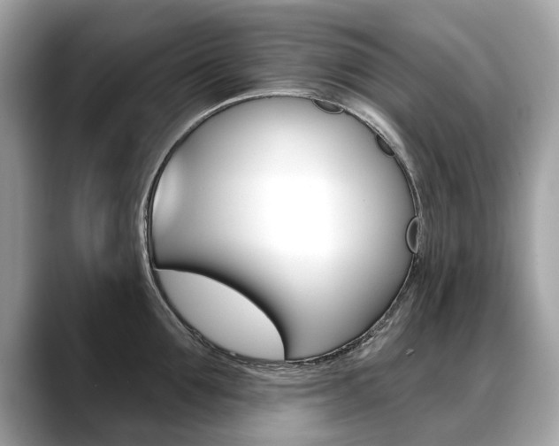 X0000088710907200705311036