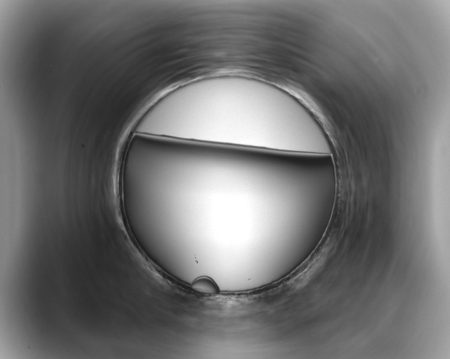 X0000088710910200705311036