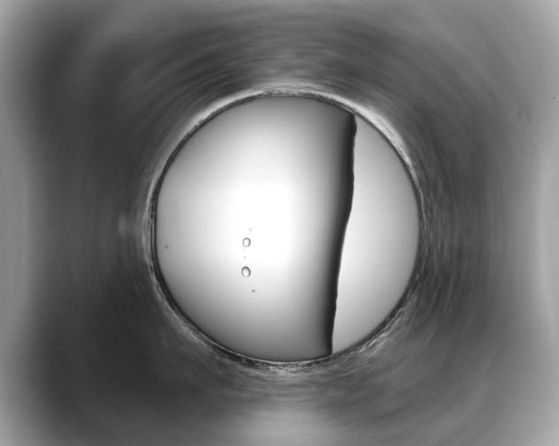 X0000088710911200705311036