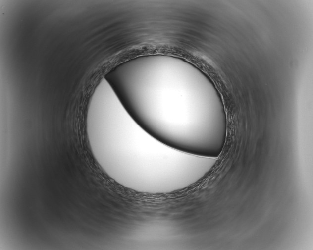 X0000088710919200705311036