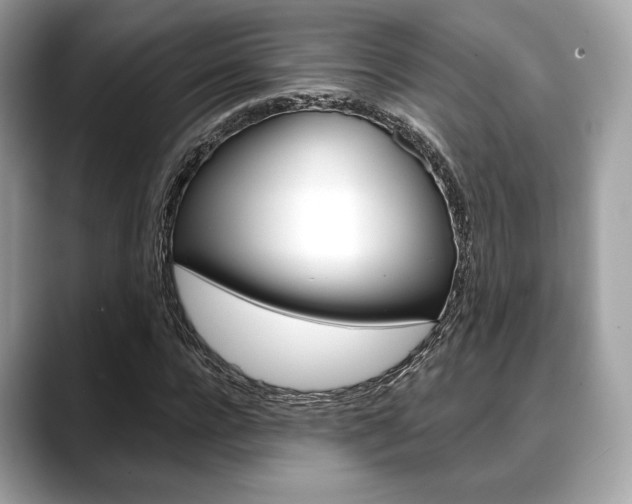 X0000088710920200705311036