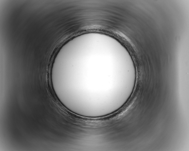 X0000088710921200705311036